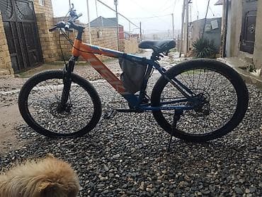 USKI markalı dağ velosipedi – elektrikli çevrilmiş versiya