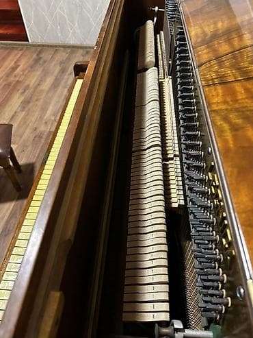 Velosiped ehtiyyat hissələri: Piano, Akustik — 3