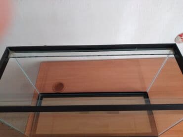İtlər: Şüşə akvarium - Material: şəffaf qalın şüşə, üst və alt hissədə — 2