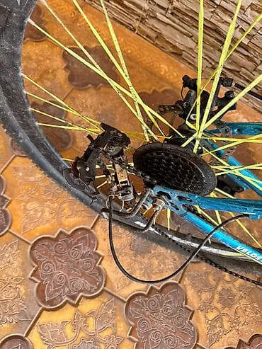 velsobet: Paçeniki xarabdır — 5