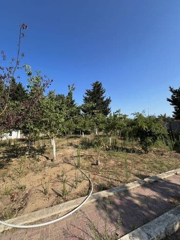 частные дома в баладжарах: 26 sot, Tikinti, Mülkiyyətçi, Kupça (Çıxarış) — 7