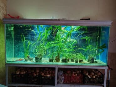 bmw 1 серия 114i mt: Вместе с рыбами, 780 л, Самовывоз — 1