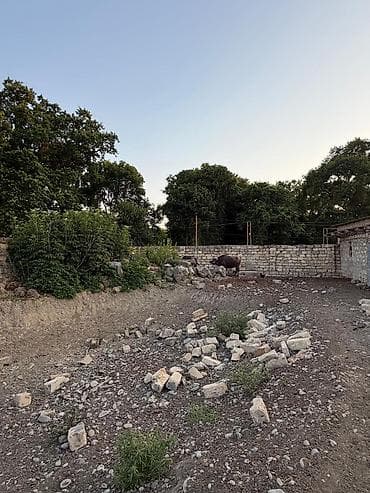Kənd təsərrüfatı, Mülkiyyətçi — 4
