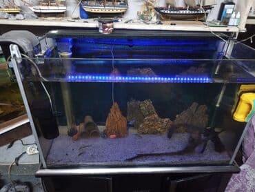 фильтр для аквариума: Akvaryum komplekti – şkaflı, sump filtrasiyalı - Şəffaf ön və yan — 9