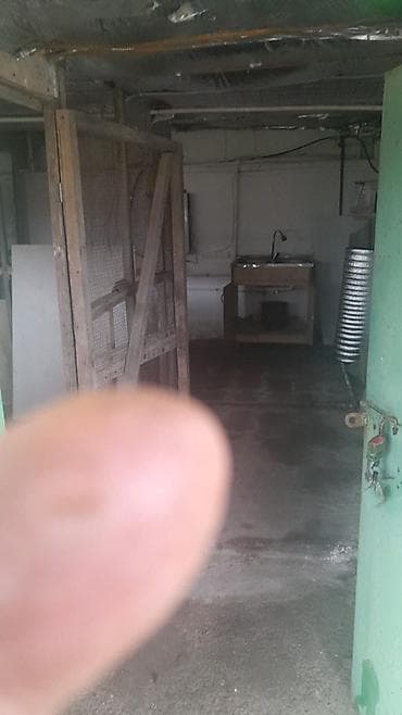 sulutepe cicek qesebesinde torpaq: Kurdaxani qesebesindi bag evi kiraye verilir — 8