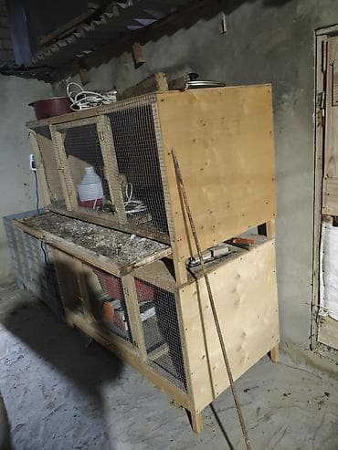 qəfəslər: İki mərtəbəli taxta qəfəs – quş və ya kiçik heyvan saxlanışı üçün - — 7