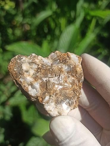 Milyon İllik Tarixi Fosil 💎 Daşlaşmış Ağac ( Petrified Wood ) 🪵 ✨ Bu — 3