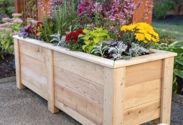 dibcek gullerin qiymeti: Dibçək və dibçək atlıqlarının sifarişlə hazırlanması Qiymət minimum — 8