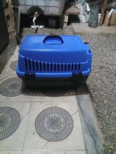 it yatağı: Məhsul: Ev heyvanı daşıma çantası (plastik boks) - Material: Yüksək — 3