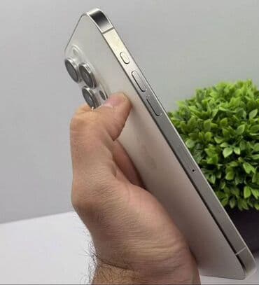 Информатика: IPhone 15 Pro Max, 256 ГБ, Серебристый, Face ID — 3