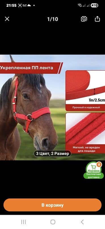 satıq at: At üçün möhkəm yüyən (halter) - Ölçü: L (şəkildə göstərilib) - — 2