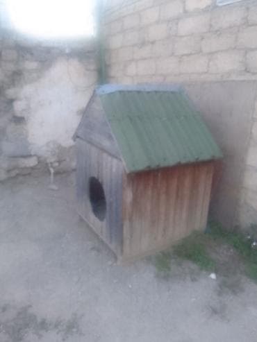 it pulsuz: Taxta it evi - Material: qalın taxta panellərdən yığılmış korpus — 1