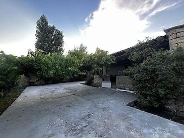 sahe: Həyətyanı ev – geniş beton örtüklü həyət, meyvə və üzüm tənəkləri ilə — 1