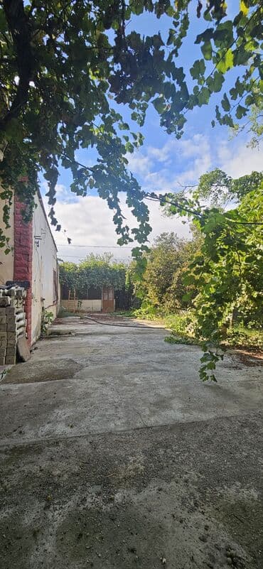 аренда продажа земельных участков: 48 sot, Kənd təsərrüfatı, Kupça (Çıxarış) — 22