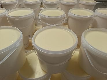 Məhsul: Ağ vedrələrdə qablaşdırılmış süd məhsulu – qaymaq/kərə yağı