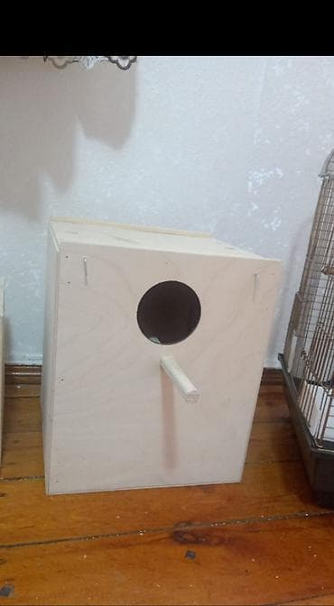 qəfəs: 📍Təcili📍Öncelikle her kese salam lazım olmadiği uçun maya deyerinden — 7