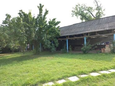 Lincoln: Огуз, 25 м², 1 комната, Газ, Водопровод, Канализация — 1