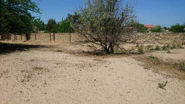 sulutəpə çiçək qəsəbəsi: 12 sot, Tikinti, Makler, Kupça (Çıxarış) — 2