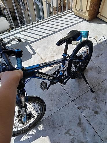 velo home: İki təkərli Uşaq velosipedi 20" — 4
