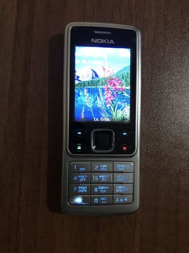 telefon uzlukləri: Nokia 6300 4G, rəng - Gümüşü — 2