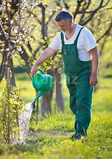 bakida ev temizlik isleri: Bağban, 33 yaş, 3-5 illik təcrübə — 1
