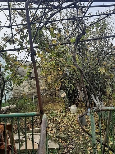 Daşınmaz əmlak: 13 sot, Tikinti, Maklerlər narahat etməsin, Bələdiyyə, Kupça (Çıxarış) — 5