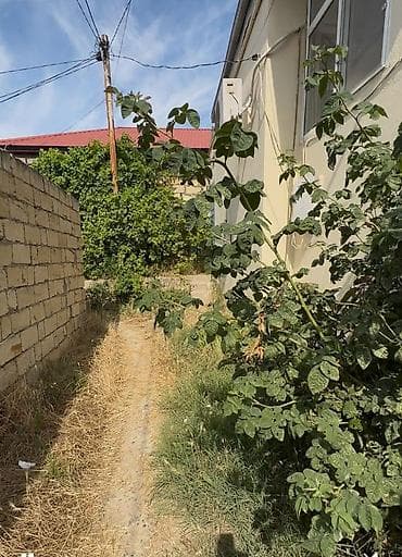 heyet evi: Satılır: həyətli məzilli ev Təsvir: - Həyətyanı sahəsi olan fərdi ev — 1