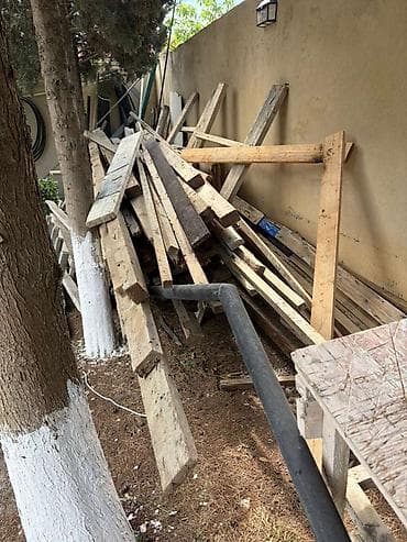 şabalıd ağacı: 3 kub taxta satılır, qarışığ ölçüdə, qara kat kimi istifadə olunub — 3