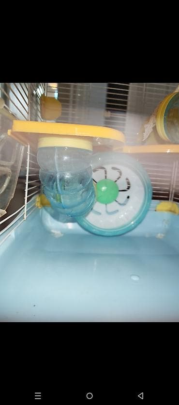 qefes boyuk: Dəbilqəli hamster üçün çoxmərtəbəli qəfəs dəsti - Rənglər: açıq mavi — 3