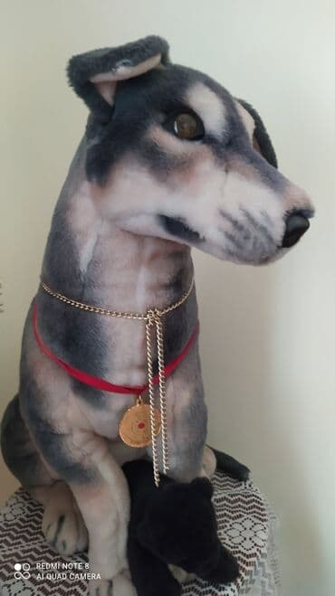 Yumşaq oyuncaq, böyük it.  Super veziyyetde. Bura yazin