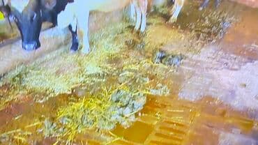 xacmaz rayonu: 12 sot, Kənd təsərrüfatı, Kupça (Çıxarış) — 11