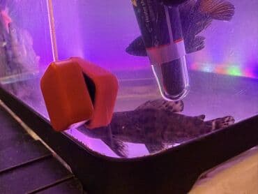 panda baligi: LED işıqlı akvarium seti - Şəffaf plastik gövdəli, qapaqlı akvarium - — 6