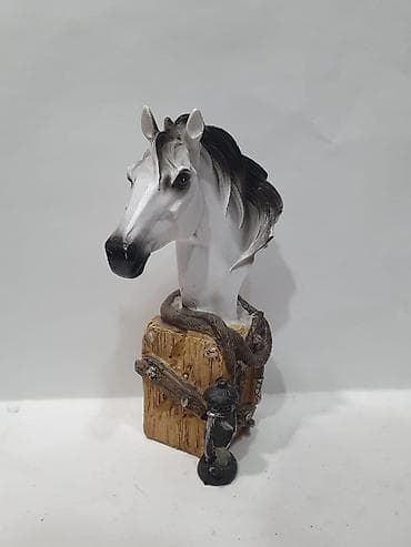 Otaq bitkiləri: Fiqur — 9