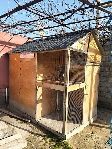 Домики: Qusxana. Uzunluq 2.60 san hündürlük 3 metir eni 1.53 — 1