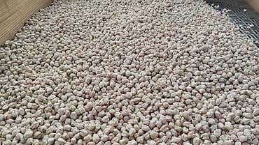 Turşular: Məhsul: Quru noxud Təsvir: - Yüngül krem rəngli, bərabər ölçülü quru — 1