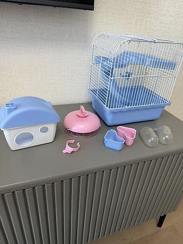 bala it: Kiçik gəmiricilər (hamster, siçança və s.) üçün uyğun, daxili yollar — 3