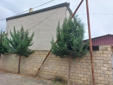 Коммерческая недвижимость: 5 комнат, 110 м², Нет кредита, Свежий ремонт — 5