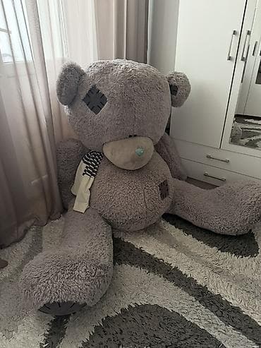 Teddy boyuk olchude, real sheki. Tecili satilir