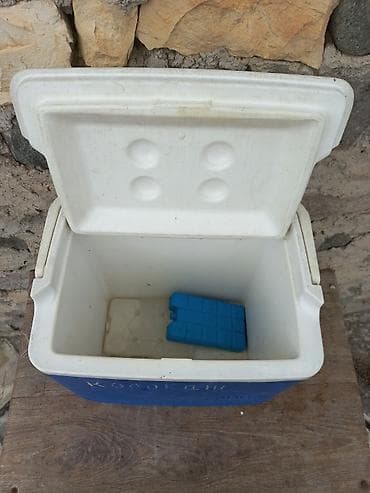 zaqatala ikinci el: Soyuq saxlayan xalaniq unvan Gence seheri — 4