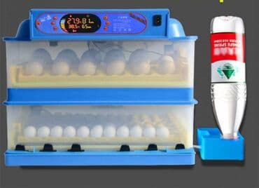 qirqovul satilir: Nkubator inkubatorlarin birinci əl satişi mağazamizda olan inkubator — 1