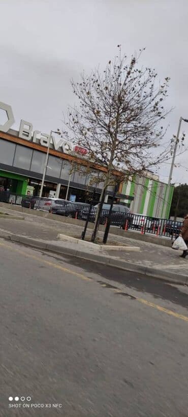 dübəndi torpaq: 11 sot, Makler, Kupça (Çıxarış) — 10