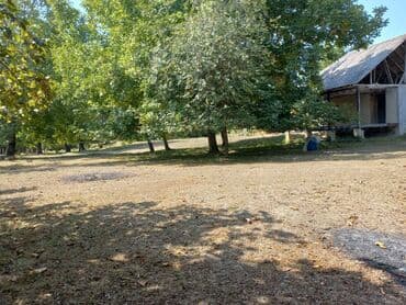 aylıq kirayə evlər bakı: 10 sot, Makler, Kupça (Çıxarış) — 5