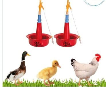 ördek qaz: Suluk 
Su qabları 
Hind quşu 
Broyler 
Ördək 
Yeni — 3