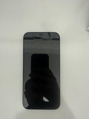 IPhone 12 Pro Max, 128 GB, Sierra Blue, Face ID