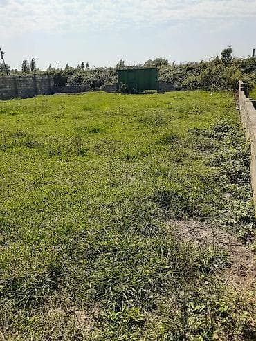 zirede ev: 6 sot, Tikinti, Mülkiyyətçi, Kupça (Çıxarış) — 3
