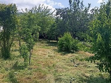 torpaq satşı: 8 sot, Biznes üçün, Mülkiyyətçi, Kupça (Çıxarış) — 3