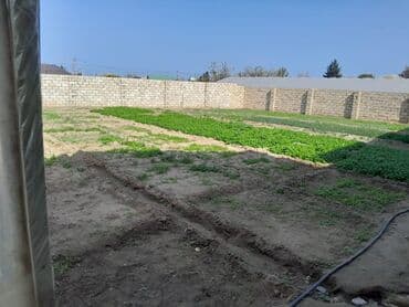 xacmazda torpaq: Kənd təsərrüfatı — 10