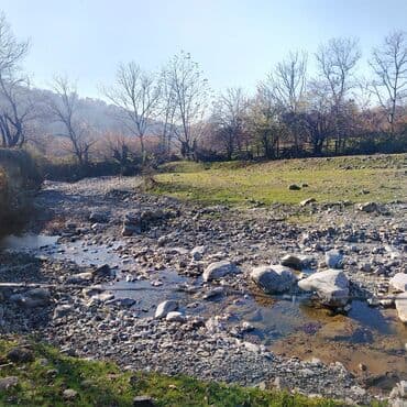 tecili ferma satilir: 12 sot, Mülkiyyətçi, Kupça (Çıxarış) — 4