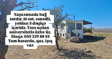 mastaga ev: Kupça (Çıxarış) — 1