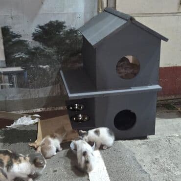 goyərcin yuvaları: Rəngli taxta heyvan evi/budaq evciyi - Material: taxta konstruksiya — 14